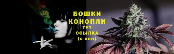 прущая мука Верея