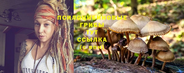 прущая мука Верея