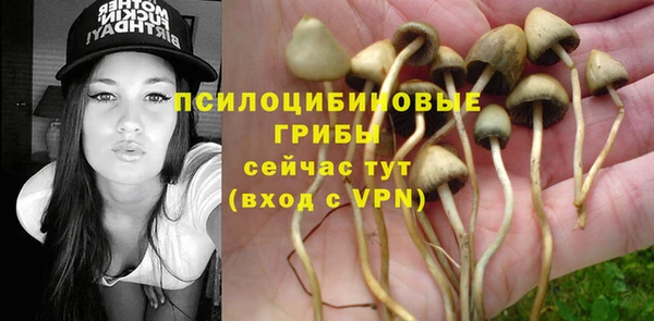 прущая мука Верея