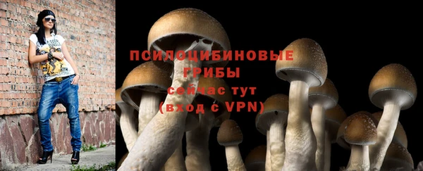 ГАЛЛЮЦИНОГЕННЫЕ ГРИБЫ Верхний Тагил