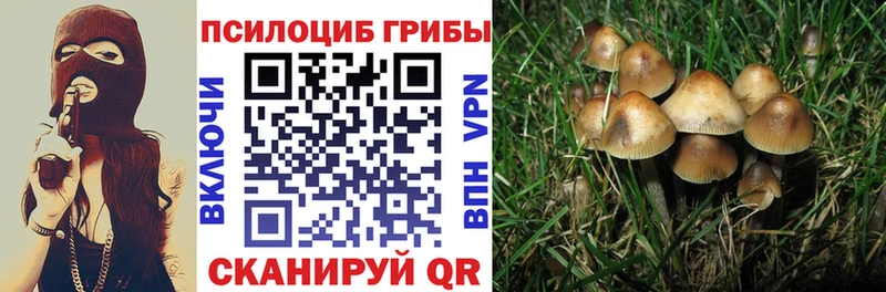 Галлюциногенные грибы GOLDEN TEACHER  shop официальный сайт  Смоленск 